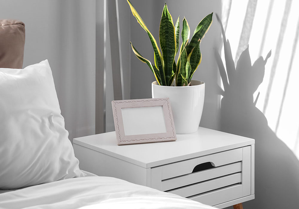 A potted snake plant and an empty picture frame rest on a white bedside table with drawers beside a bed with white linens in a brightly lit room.