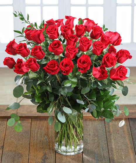 Ecuadorian Mountain Red Roses