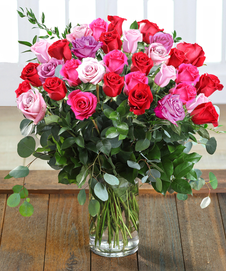 Farm-fresh luxury 'Love & Romance' Ecuadorian Mountain Roses featuring our 30% Larger Red, Pink, and Hot Pink Colors in a chic vase.