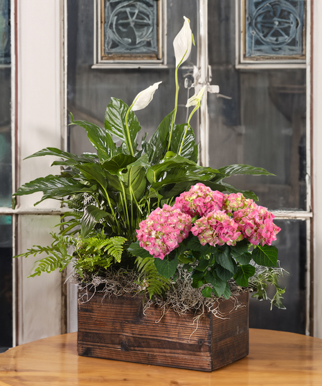 Pink Hydrangea & Peace Lily Planter