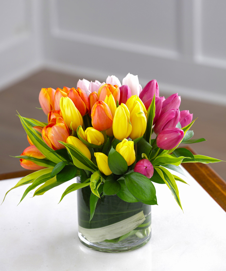 Carithers Flowers Tulip Arrangement featuring your choice of 30, 40, or 50 Holland Assorted Tulips