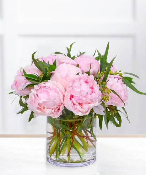 Pink Sugar Peonies