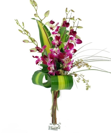 Exotic Orchids Desktop Budvase